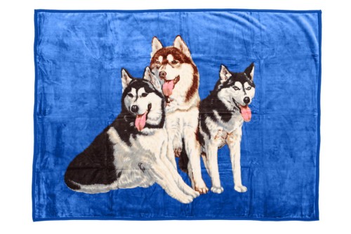 Koc Elway 160x210 niebieski w psy Husky
