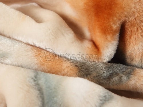 Koc Elway 160x210 bernardyny cavaliery