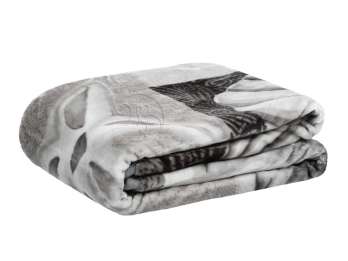 Koc Elway muszelka odcienie szarości.