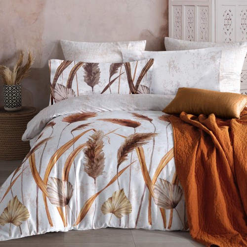 a2281116ff204c43a30477e01ce86f4c