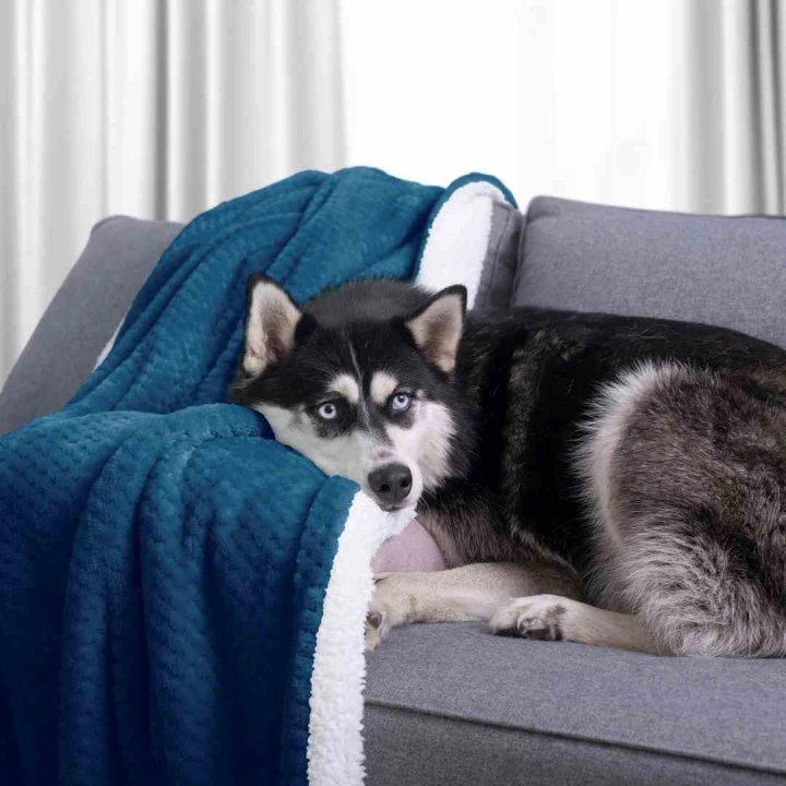 AmeliaHome - Koc granatowy SHLEEPY - 70x150 cm.