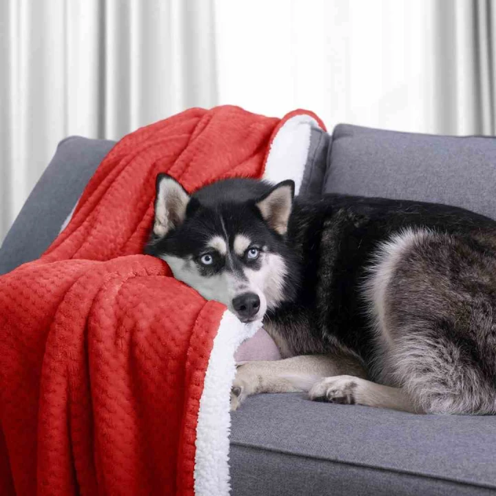 AmeliaHome - Koc czerwony SHLEEPY 70x150 cm.