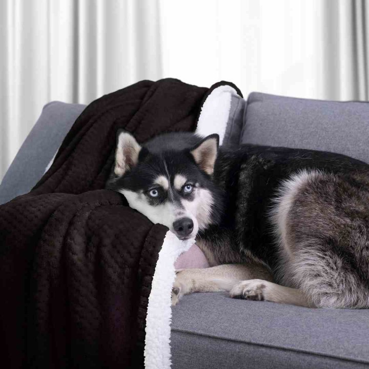 AmeliaHome - Koc SHLEEPY kolor czarny - 170x210 cm.