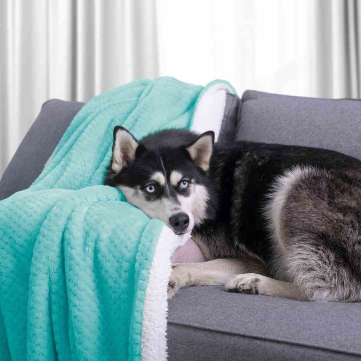 AmeliaHome - Koc SHLEEPY turkusowy - 170x210 cm.