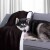 AmeliaHome - czarny koc SHLEEPY - 220x240 cm.