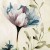 Pościel bawełniana COTTONLOVE 160x200 cm z zamkiem 100% bawełna, 2x70x80 cm
