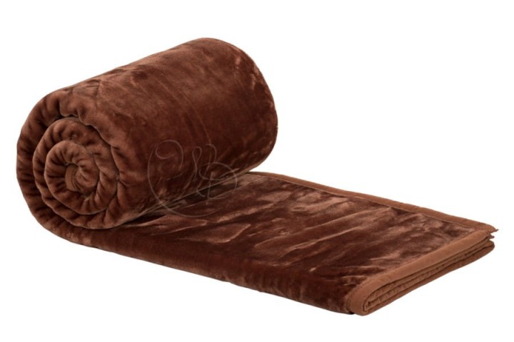 Koc-Elway-brązowy-bładki