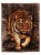 Koc Elway TYGRYS rozmiar 160x210cm.